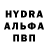 Каннабис планчик Enkush Enka