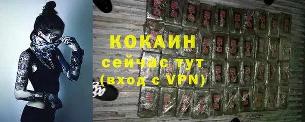 мескалин Богородицк