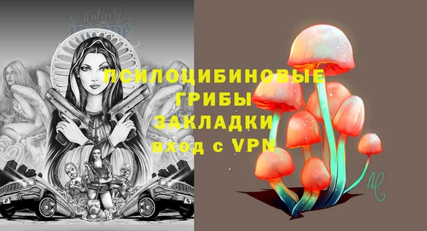 скорость Богданович